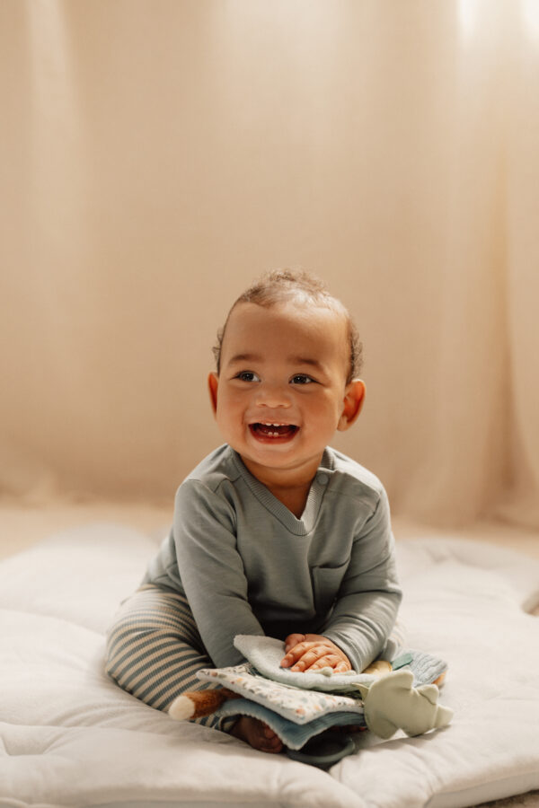 Stroller Booklet - Forest Friends